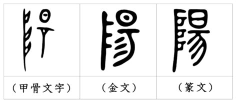 陽 象形文字|漢字の成り立ち「陽」 – 漢字の成り立ちや意味をイラストや絵を。